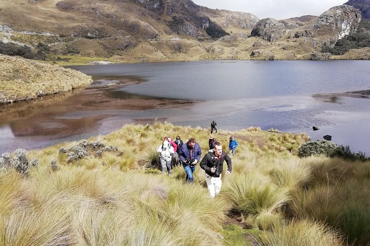 Cajas National Park Half Day Tour from Cuenca