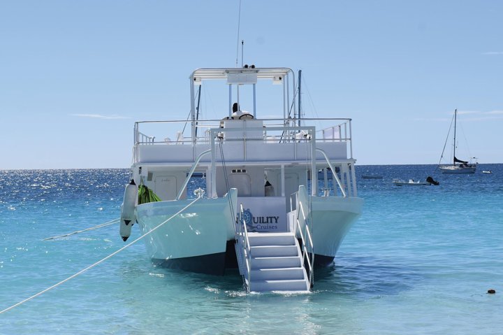 Barbados Island Tour, Monkey Watching & Swimming with Turtles