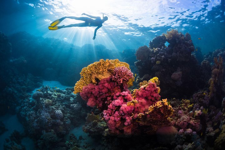 Try Freediving on Nusa Penida
