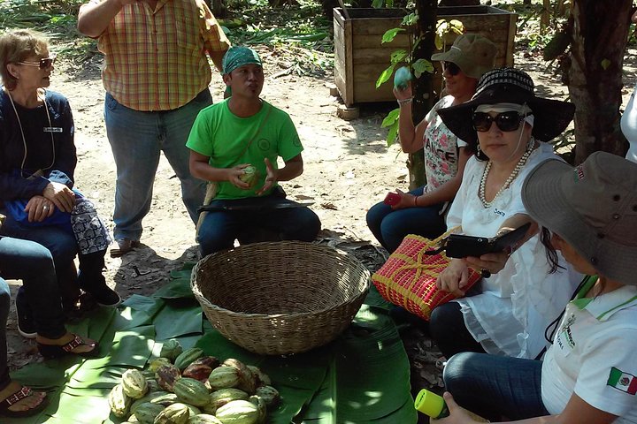 Villahermosa- Route Of Chocolate