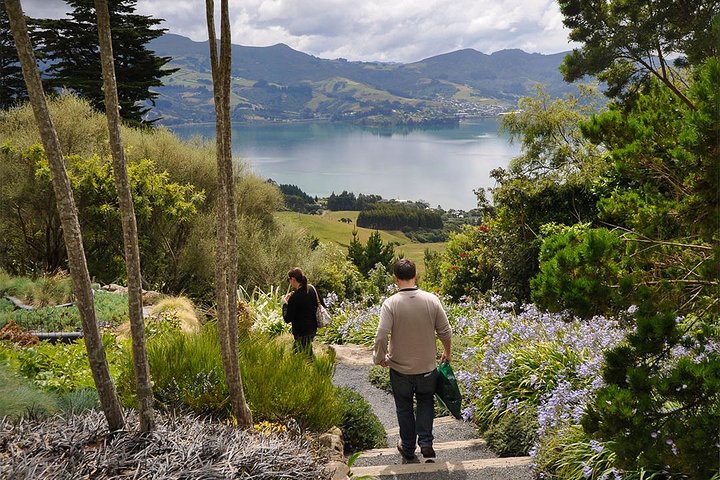 Iconic Shore Excursion: Iconic Larnach Castle Tour