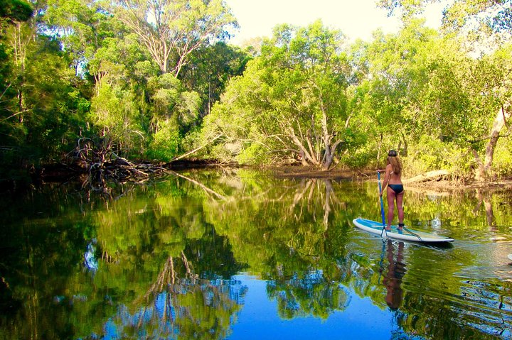 Byron Stand Up Paddle Nature Tour