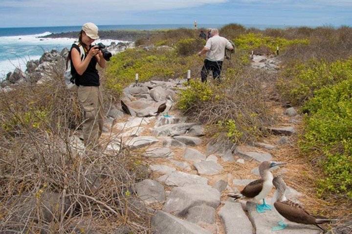 Seymour North Island & Las Bachas Full-Day Tour