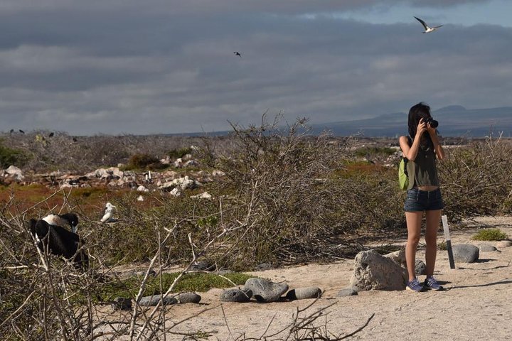 Seymour North Island & Las Bachas Full-Day Tour