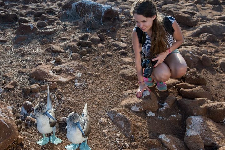 Seymour North Island & Las Bachas Full-Day Tour