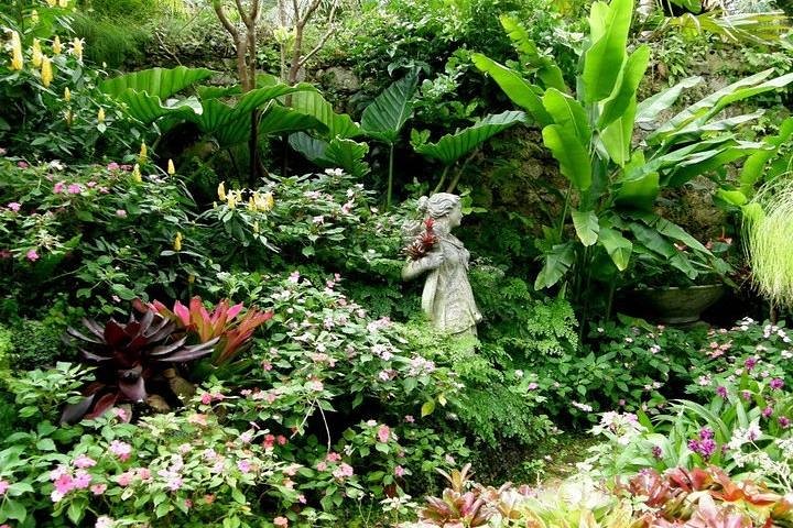 Half-Day Barbados Tour Harrisons Cave Hunte's Garden and Bathsheba