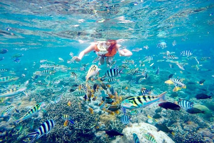 Nusa Penida Snorkeling Adventure (Private & All-Inclusive)