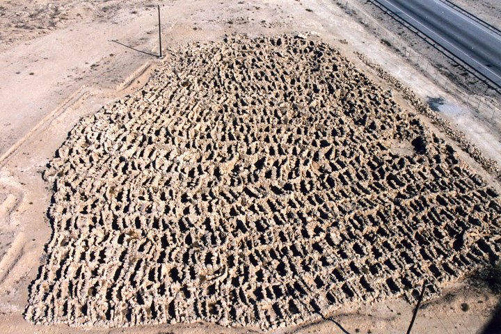 Archaeological Tour Bahrain