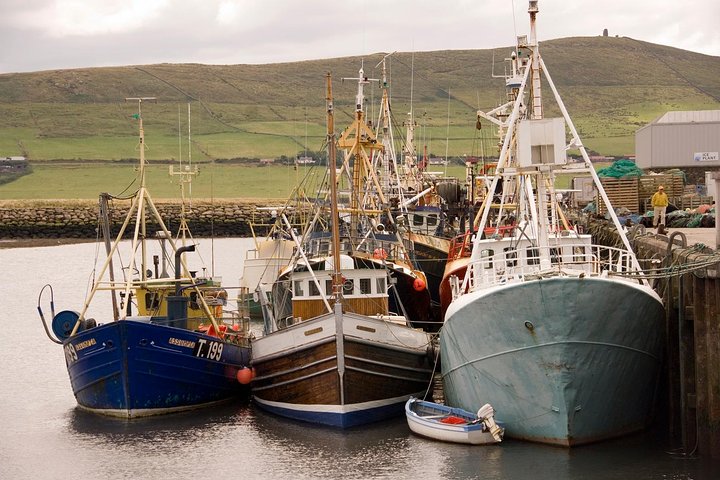 Dingle Peninsula Day Tour from Cork: Including The Wild Altanic Way