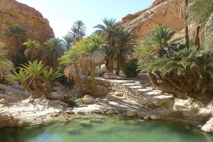 Tamerza Canyon Oasis Tour