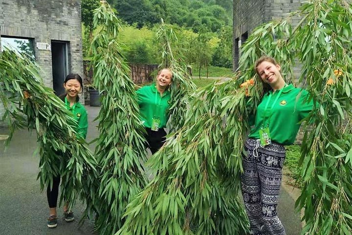 All Inclusive Wolong or Dujiangyan Panda Base Volunteering