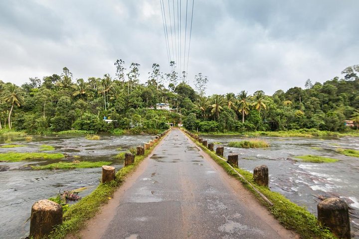 Explore The Rustic Life Of Thekkady