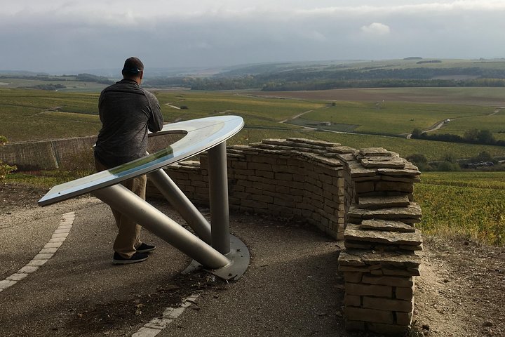 Chablis & Northern Burgundy Wine Tour