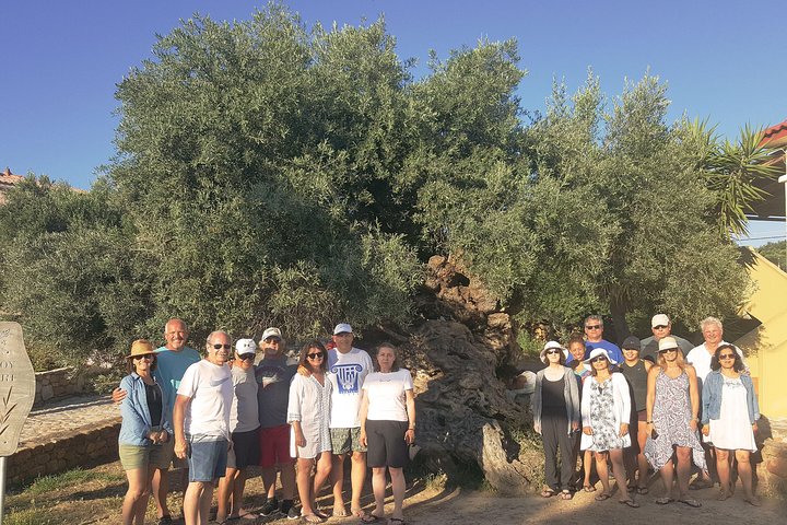 Crete Wine and Olive Oil Tour