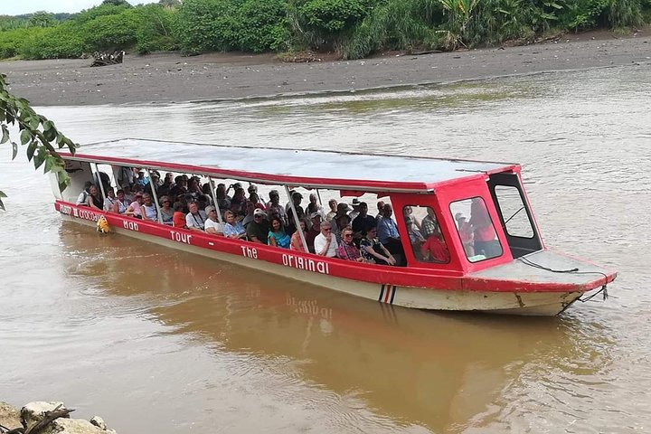 Puntarenas Shore Excursion: Rainforest Skywalk & Tarcoles River