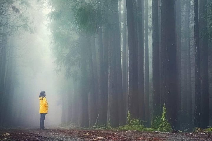 HIKING XL (Full Day Private Tour)