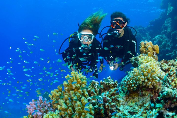 Tulamben Diving Tour Shipwreck USS Bali