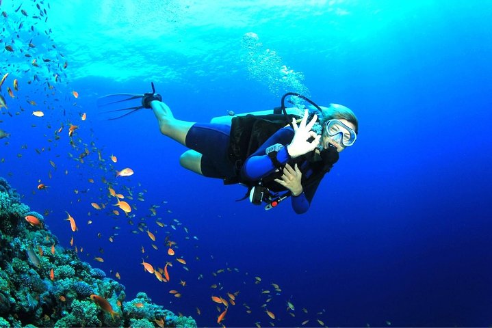 Tulamben Diving Tour Shipwreck USS Bali