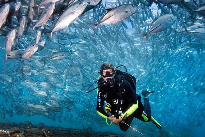 Tulamben Diving Tour Shipwreck USS Bali