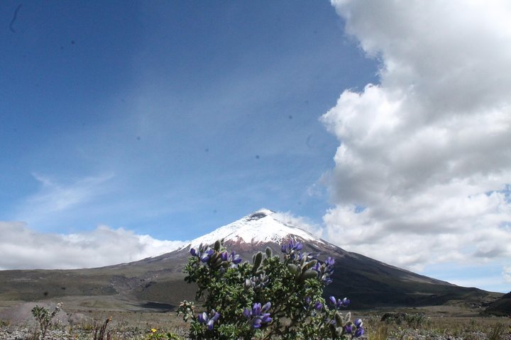 Cotopaxi Volcano (PRIVATE Day Trip from Quito)
