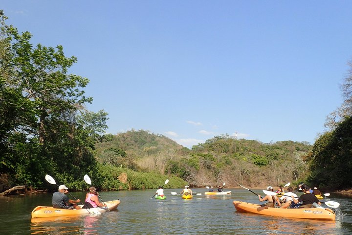Wildlife and Mangrove Kayaking Tour Río Ora