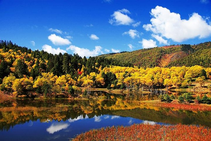 1 Day Shangri-la City Tour with Pudacuo National Park