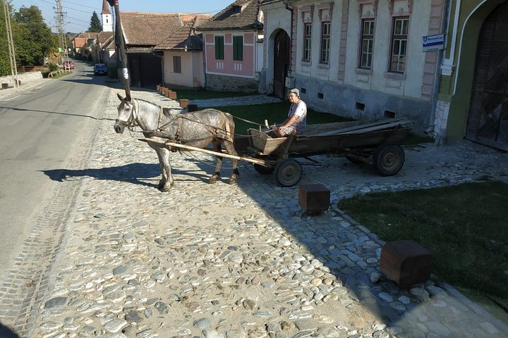 Saxon Heritage in Transylvania: Day Trip from Cluj-Napoca