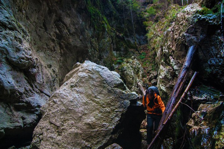 Adventure day trip from Iasi | Hiking in the Carpathian Mountains