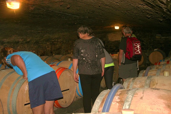 Burgundy Bike Tour with Wine Tasting from Beaune
