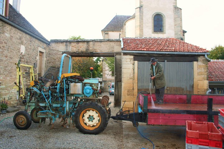 Burgundy Bike Tour with Wine Tasting from Beaune