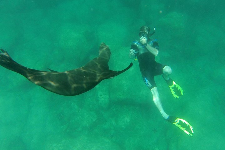 Espiritu Santo Island Snorkel & Sea Lion Adventure