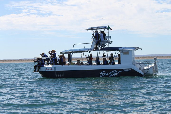 Espiritu Santo Island Snorkel & Sea Lion Adventure