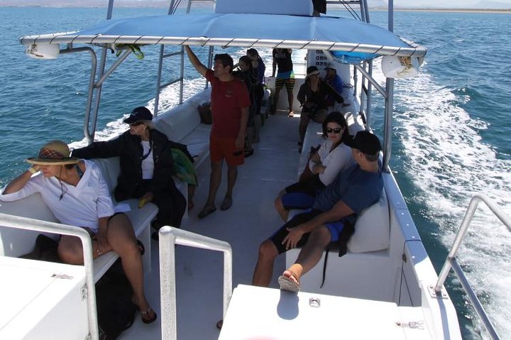 Espiritu Santo Island Snorkel & Sea Lion Adventure