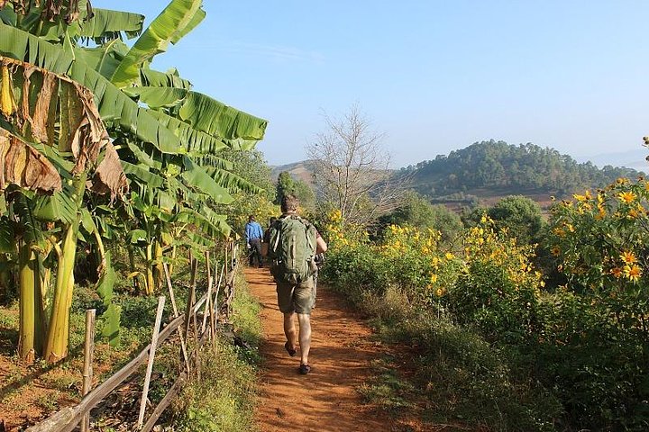 Nyaung Shwe Half Day Trekking