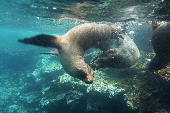 Full Day Santa Fe Playa escondida snorkeling tour