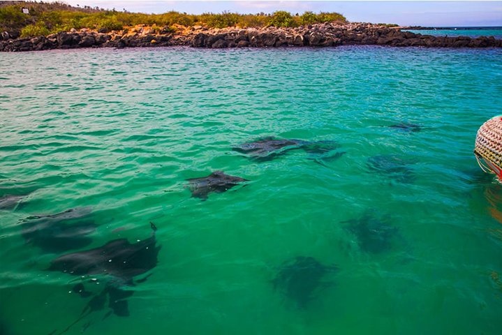 Full Day Santa Fe Playa escondida snorkeling tour
