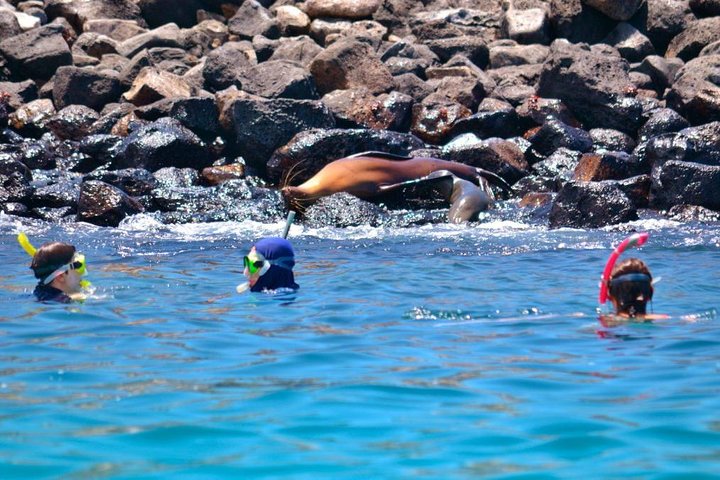 Full Day Santa Fe Playa escondida snorkeling tour