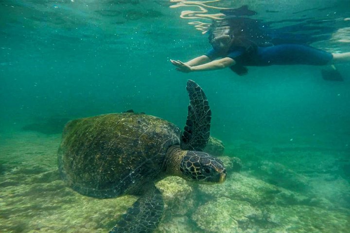 Full Day Santa Fe Playa escondida snorkeling tour