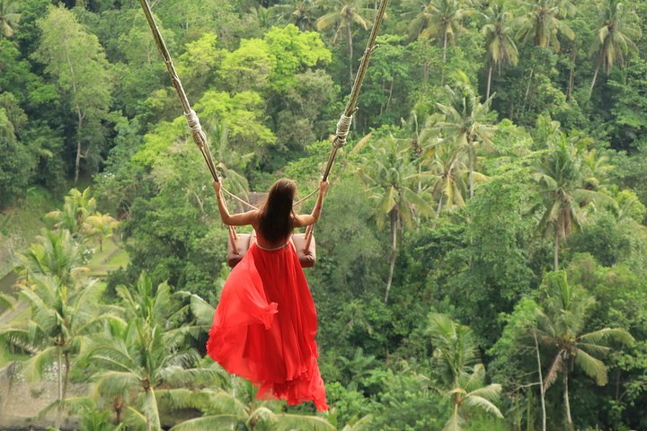Bali Jungle Swing Experience Full Activity