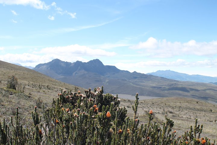 Cotopaxi Volcano (PRIVATE Day Trip from Quito)