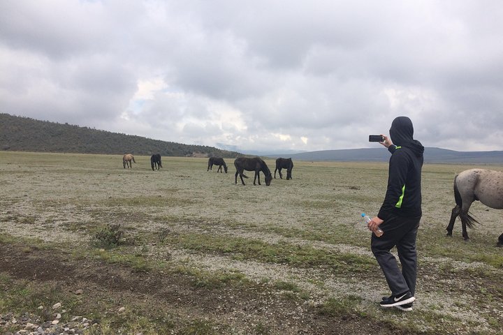 Cotopaxi Volcano (PRIVATE Day Trip from Quito)