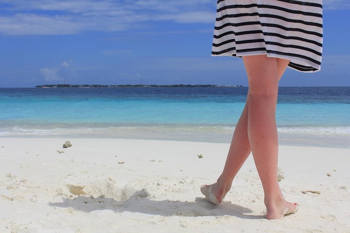 Sandbank Snorkeling and Sunset Cruise