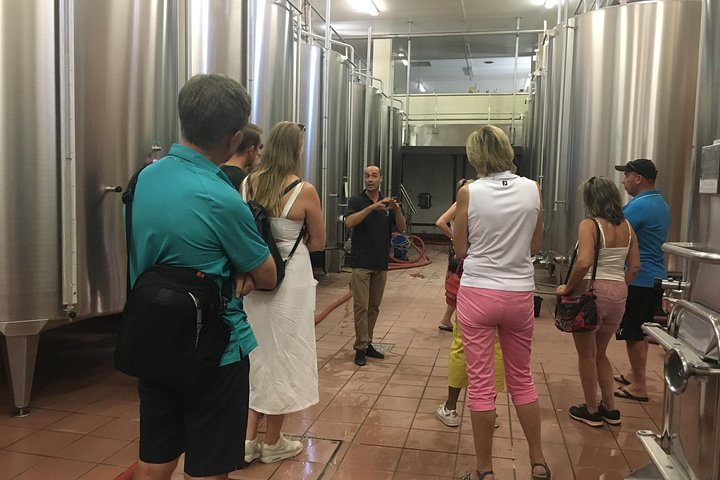 Private Half-Day Languedoc Wine Tour from Sète