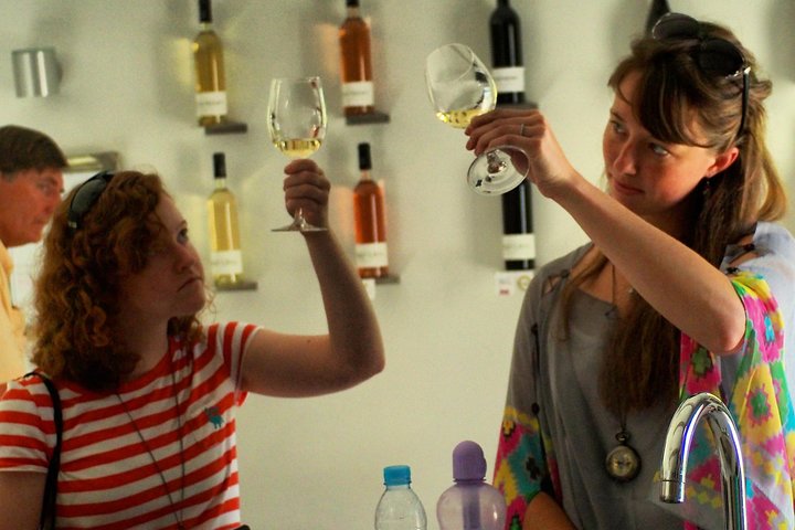 Private Half-Day Languedoc Wine Tour from Sète