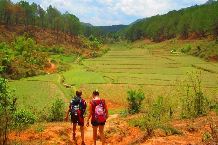 Nyaung Shwe Half Day Trekking