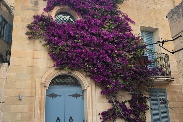Mdina and Rabat Walking Tour inc. Catacombs and St. Paul's Grotto