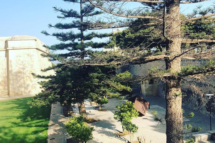 Mdina and Rabat Walking Tour inc. Catacombs and St. Paul's Grotto