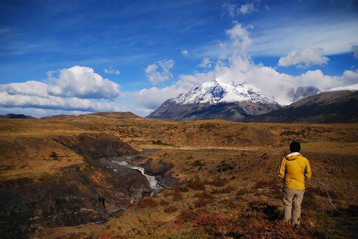 Full-Day Tour Torres del Paine National Park from Puerto Natales