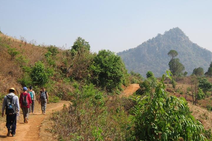 Kalaw One Day Trekking Tour