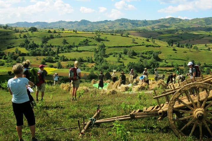 Kalaw One Day Trekking Tour